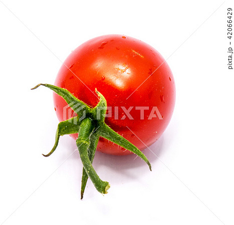 Red cherry tomatoe isolated Red cherry tomatoe isolated 42066429