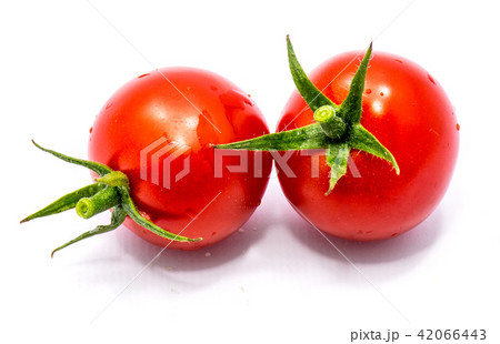 Red cherry tomatoe isolated Red cherry tomatoe isolated 42066443
