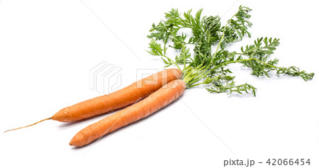 Raw carrot isolated on white 42066454