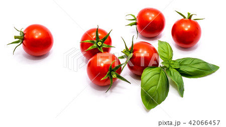 Red cherry tomatoe isolated Red cherry tomatoe isolated 42066457