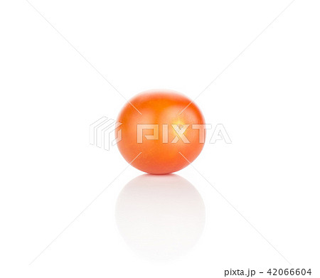 Fresh cherry tomato isolated on white Fresh cherry tomato isolated on white 42066604