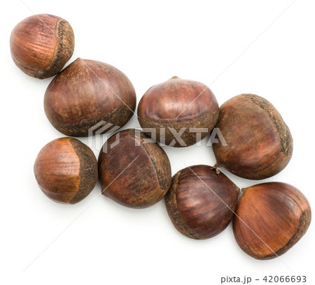 Raw edible Chestnut isolated on white 42066693