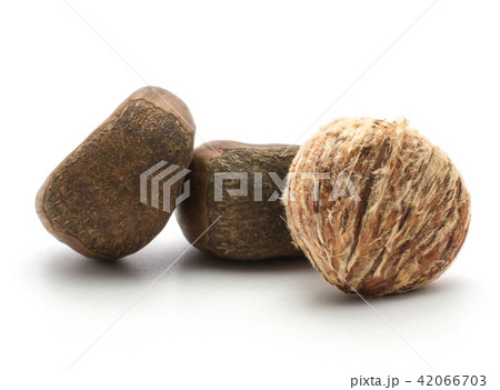 Raw edible Chestnut isolated on white Raw edible Chestnut isolated on white 42066703