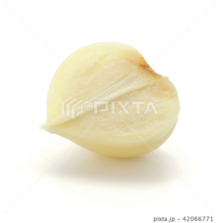 Fresh chinese garlic isolated on white Fresh chinese garlic isolated on white 42066771