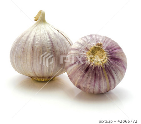 Fresh chinese garlic isolated on white 42066772