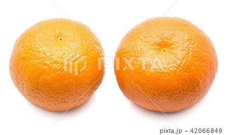 Fresh clementine isolated on white Fresh clementine isolated on white 42066849