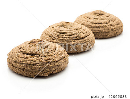 Coco cookie isolated on white 42066888