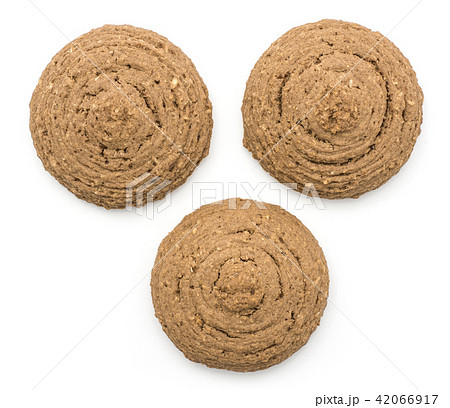 Coco cookie isolated on white 42066917