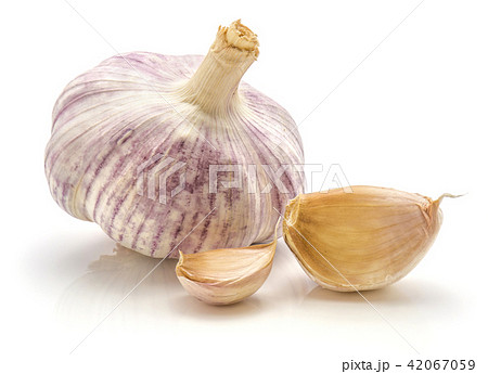 Common garlic isolated on white 42067059
