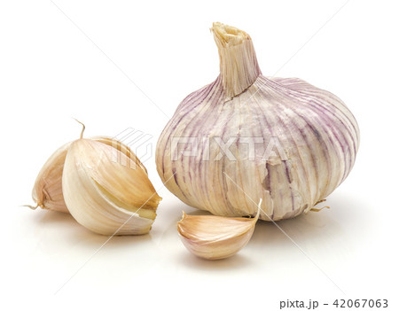 Common garlic isolated on white 42067063