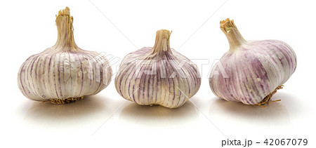 Common garlic isolated on white Common garlic isolated on white 42067079