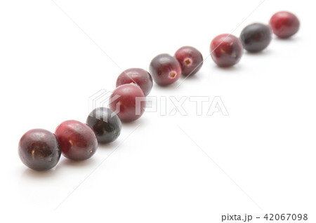 Fresh Cranberry isolated on white Fresh Cranberry isolated on white 42067098