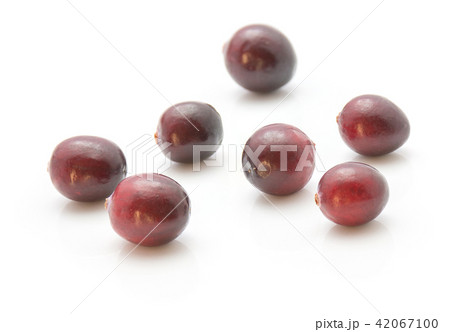Fresh Cranberry isolated on white Fresh Cranberry isolated on white 42067100