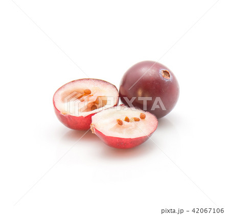 Fresh Cranberry isolated on white Fresh Cranberry isolated on white 42067106