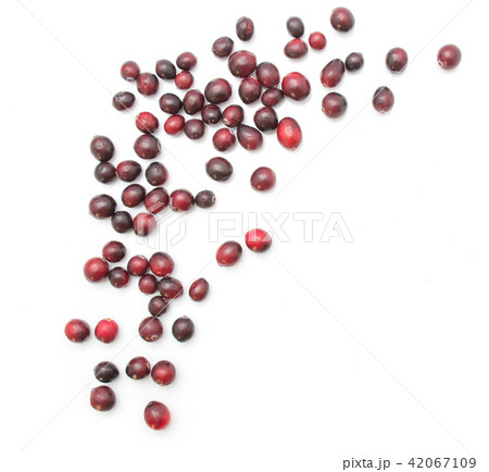 Fresh Cranberry isolated on white 42067109