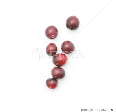 Fresh Cranberry isolated on white 42067110
