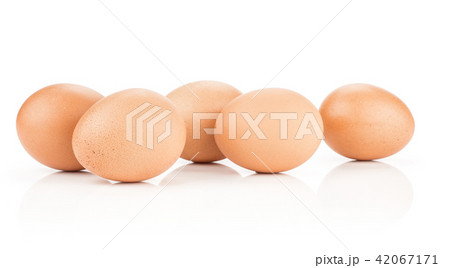 Fresh Chicken Egg isolated on white Fresh Chicken Egg isolated on white 42067171
