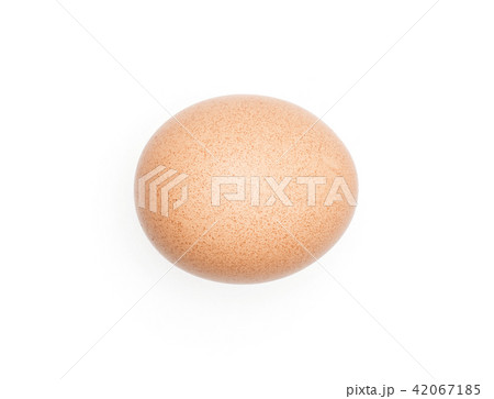 Fresh Chicken Egg isolated on white Fresh Chicken Egg isolated on white 42067185