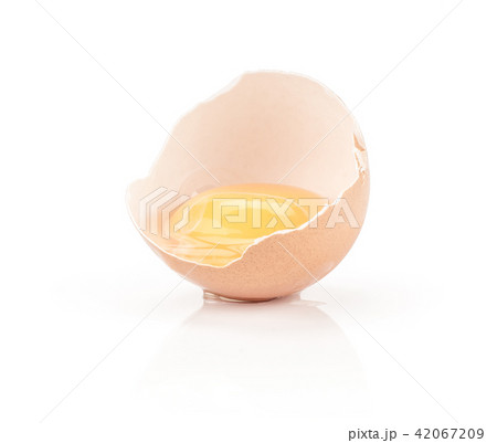 Fresh Chicken Egg isolated on white Fresh Chicken Egg isolated on white 42067209