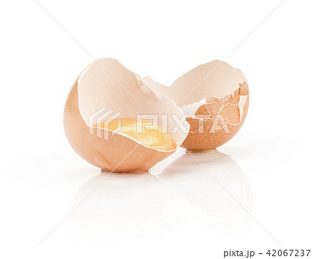 Fresh Chicken Egg isolated on white Fresh Chicken Egg isolated on white 42067237