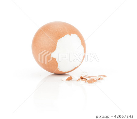Fresh Chicken Egg isolated on white Fresh Chicken Egg isolated on white 42067243