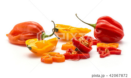 Fresh Habanero chilli isoated on white Fresh Habanero chilli isoated on white 42067872