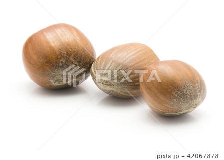 Raw hazelnut isolated on white 42067878