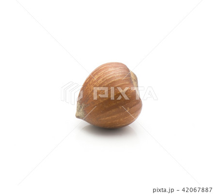 Raw hazelnut isolated on white 42067887