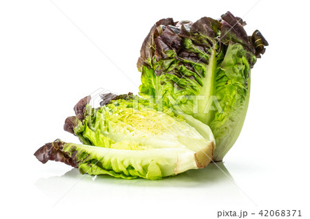 Fresh raw lettuce red little gem isolated on white Fresh raw lettuce red little gem isolated on white 42068371