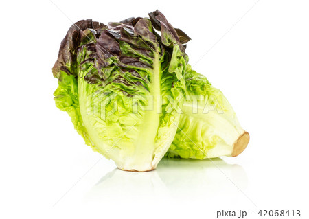 Fresh raw lettuce red little gem isolated on white 42068413