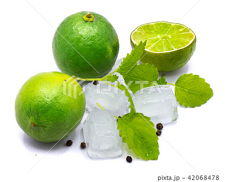 Fresh lime and melissa isolated on white Fresh lime and melissa isolated on white 42068478