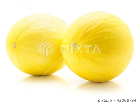 Melon Honeydew isolated on white Melon Honeydew isolated on white 42068734