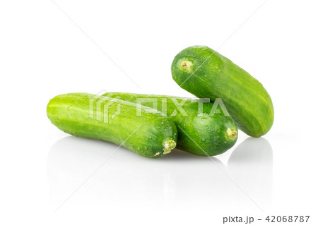 Fresh raw mini cucumber isolated on white Fresh raw mini cucumber isolated on white 42068787