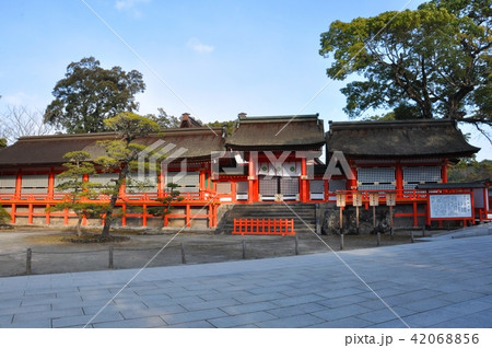 宇佐神宮 42068856