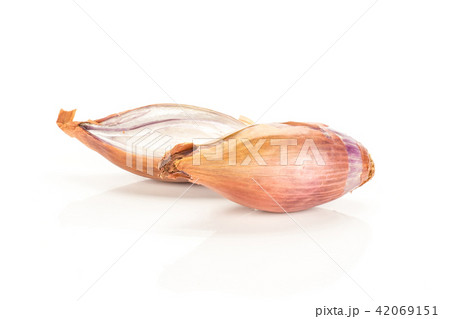Fresh raw long shallot onion isolated on white Fresh raw long shallot onion isolated on white 42069151