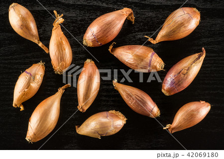 Fresh raw long shallot onion on black wood Fresh raw long shallot onion on black wood 42069180