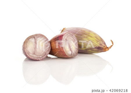 Fresh raw long shallot onion isolated on white 42069218