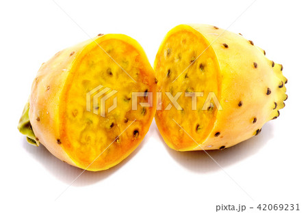 Fresh opuntia isolated on white Fresh opuntia isolated on white 42069231
