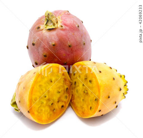 Fresh opuntia isolated on white 42069233
