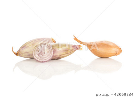 Fresh raw long shallot onion isolated on white Fresh raw long shallot onion isolated on white 42069234
