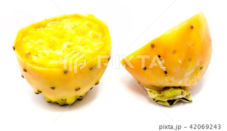 Fresh opuntia isolated on white Fresh opuntia isolated on white 42069243