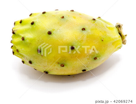 Fresh opuntia isolated on white 42069274