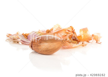 Fresh raw long shallot onion isolated on white Fresh raw long shallot onion isolated on white 42069282