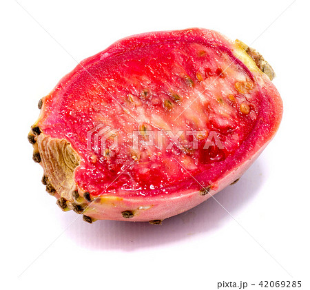 Fresh opuntia isolated on white Fresh opuntia isolated on white 42069285