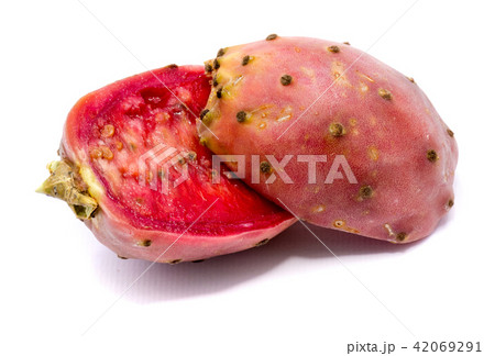 Fresh opuntia isolated on white Fresh opuntia isolated on white 42069291
