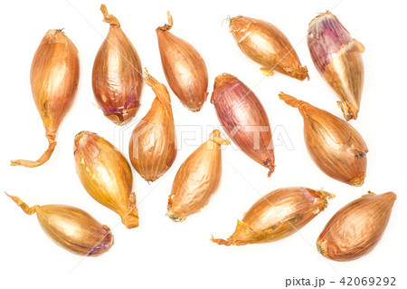 Fresh raw long shallot onion isolated on white Fresh raw long shallot onion isolated on white 42069292