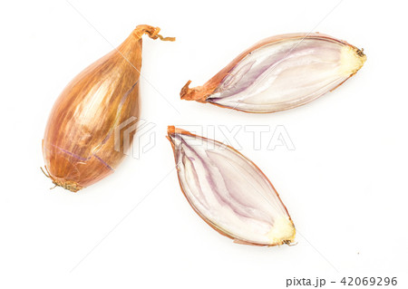 Fresh raw long shallot onion isolated on white 42069296