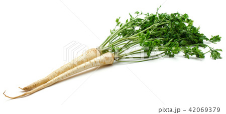 Fresh parsley isolated on white Fresh parsley isolated on white 42069379