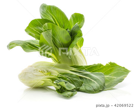 Fresh Bok choy isolated on white 42069522