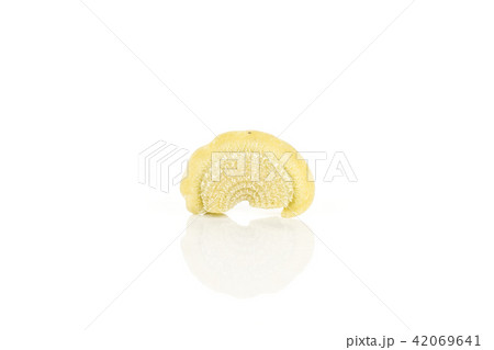 Fresh raw paste Creste di Gallo isolated on white 42069641